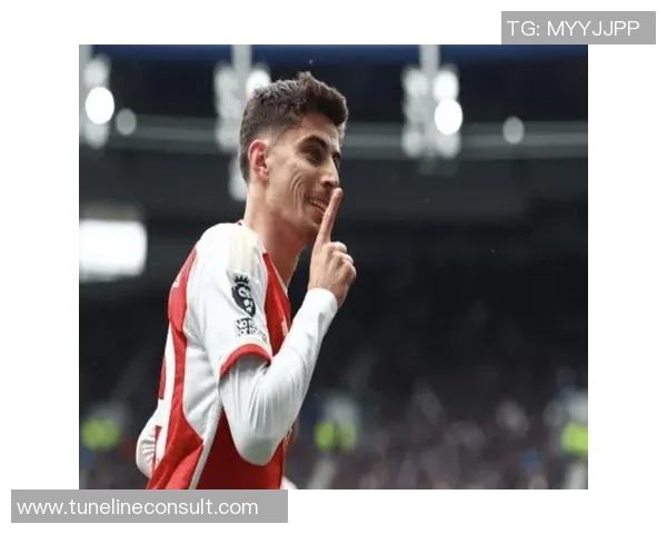 青梅竹马情深球场争锋哈弗茨的成长与挑战之路